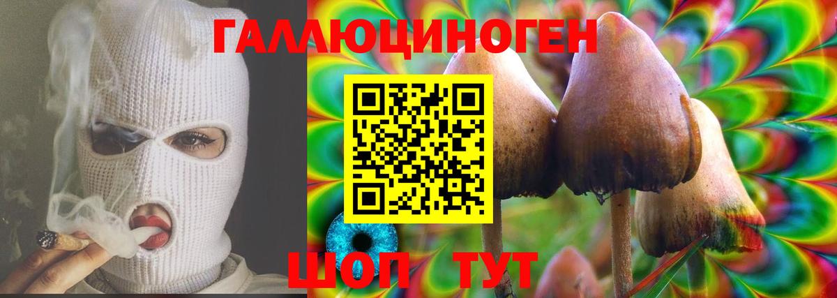 Галлюциногенные грибы Magic Shrooms Чебоксары
